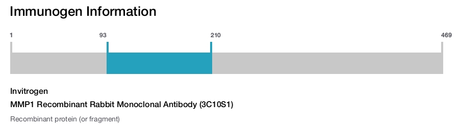 MMP1 Recombinant Rabbit Monoclonal Antibody (3C10S1)