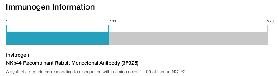 NKp44 Recombinant Rabbit Monoclonal Antibody (3F9Z5)