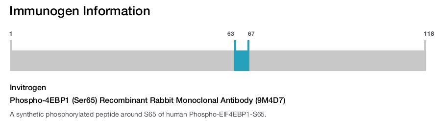 Phospho-4EBP1 (Ser65) Recombinant Rabbit Monoclonal Antibody (9M4D7)