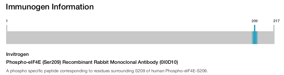 Phospho-eIF4E (Ser209) Recombinant Rabbit Monoclonal Antibody (0I0D10)