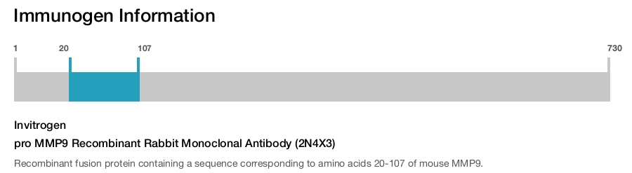 pro MMP9 Recombinant Rabbit Monoclonal Antibody (2N4X3)