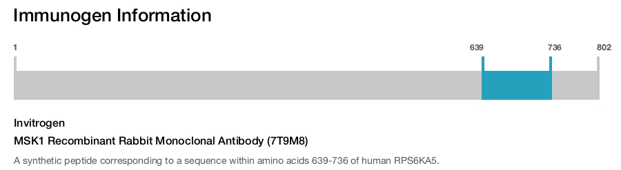 MSK1 Recombinant Rabbit Monoclonal Antibody (7T9M8)