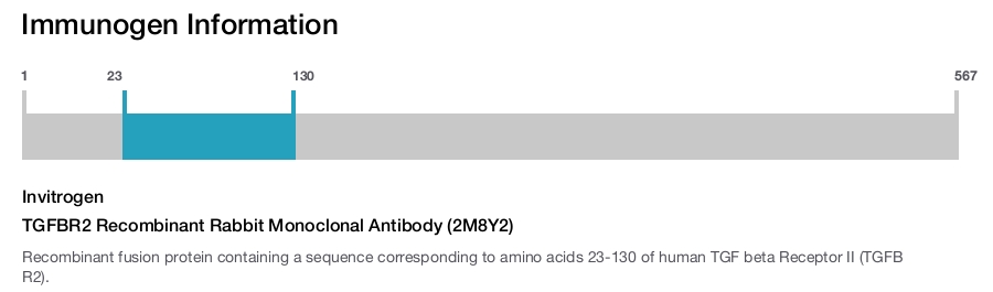 TGFBR2 Recombinant Rabbit Monoclonal Antibody (2M8Y2)