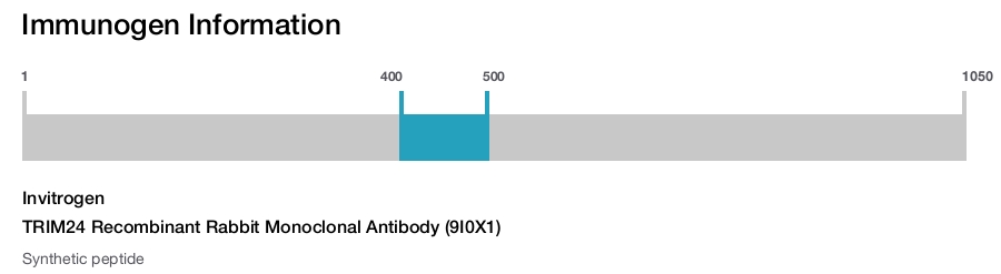 TRIM24 Recombinant Rabbit Monoclonal Antibody (9I0X1)
