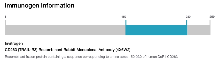 CD263 (TRAIL-R3) Recombinant Rabbit Monoclonal Antibody (4X6W2)
