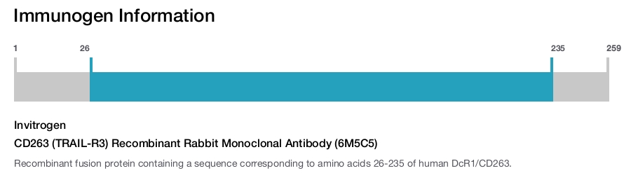 CD263 (TRAIL-R3) Recombinant Rabbit Monoclonal Antibody (6M5C5)