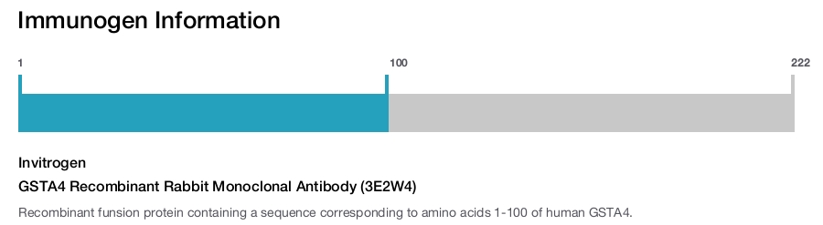 GSTA4 Recombinant Rabbit Monoclonal Antibody (3E2W4)