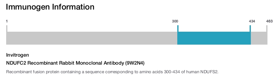 NDUFC2 Recombinant Rabbit Monoclonal Antibody (9W2N4)