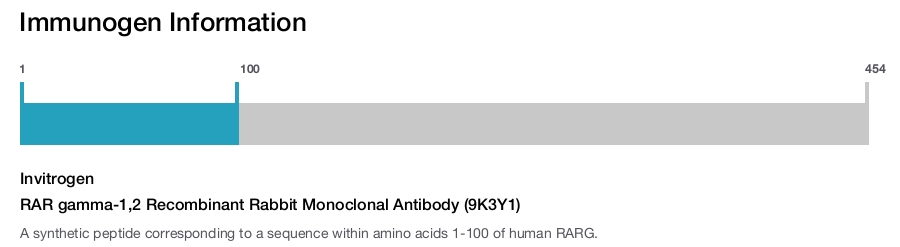 RAR gamma-1,2 Recombinant Rabbit Monoclonal Antibody (9K3Y1)