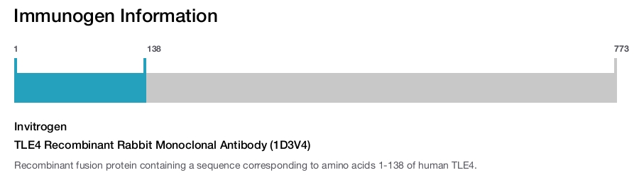 TLE4 Recombinant Rabbit Monoclonal Antibody (1D3V4)