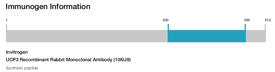 UCP3 Recombinant Rabbit Monoclonal Antibody (10I0J9)