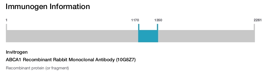 ABCA1 Recombinant Rabbit Monoclonal Antibody (10G8Z7)