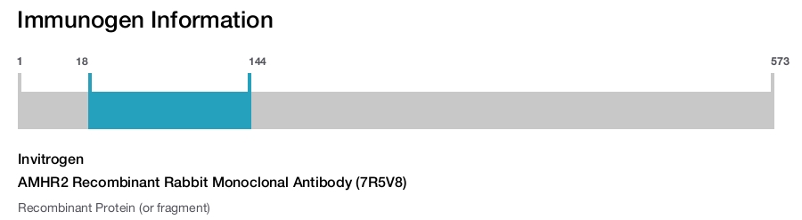 AMHR2 Recombinant Rabbit Monoclonal Antibody (7R5V8)