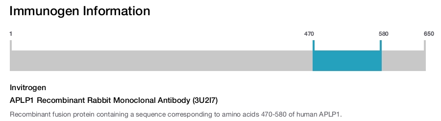 APLP1 Recombinant Rabbit Monoclonal Antibody (3U2I7)