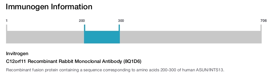 C12orf11 Recombinant Rabbit Monoclonal Antibody (8Q1D6)