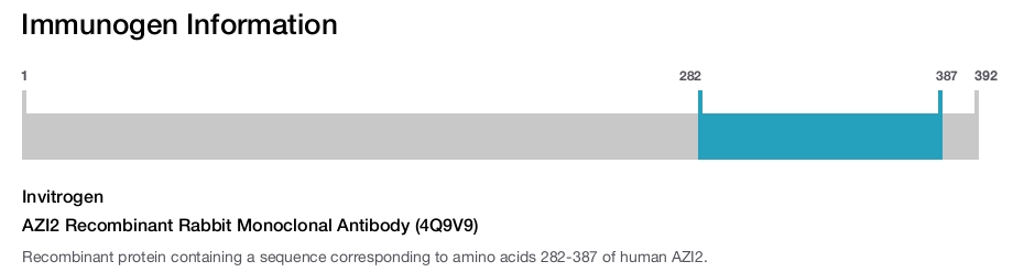 AZI2 Recombinant Rabbit Monoclonal Antibody (4Q9V9)