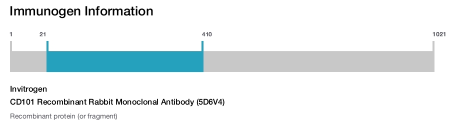 CD101 Recombinant Rabbit Monoclonal Antibody (5D6V4)