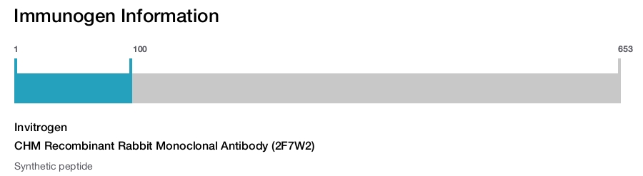 CHM Recombinant Rabbit Monoclonal Antibody (2F7W2)