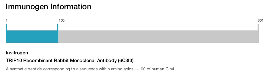 TRIP10 Recombinant Rabbit Monoclonal Antibody (6C3I3)