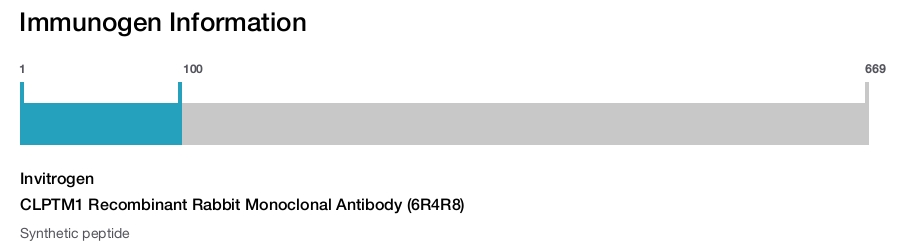 CLPTM1 Recombinant Rabbit Monoclonal Antibody (6R4R8)