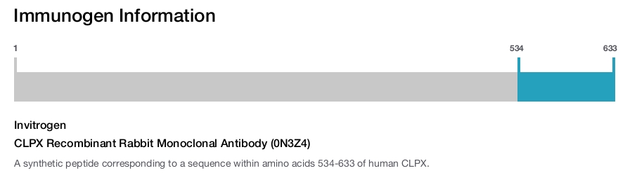 CLPX Recombinant Rabbit Monoclonal Antibody (0N3Z4)