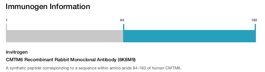 CMTM6 Recombinant Rabbit Monoclonal Antibody (6K8M9)