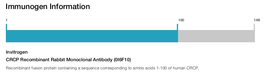 CRCP Recombinant Rabbit Monoclonal Antibody (0I6F10)