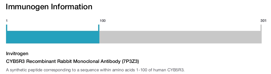 CYB5R3 Recombinant Rabbit Monoclonal Antibody (7P3Z3)