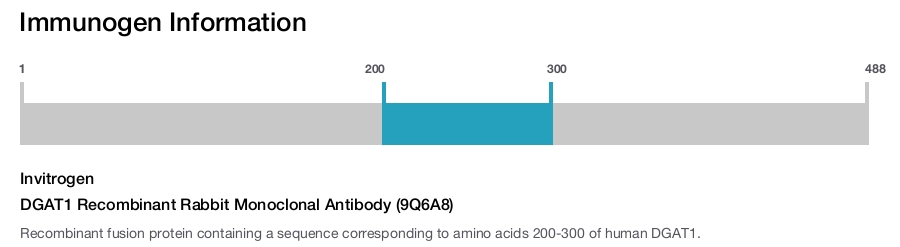 DGAT1 Recombinant Rabbit Monoclonal Antibody (9Q6A8)