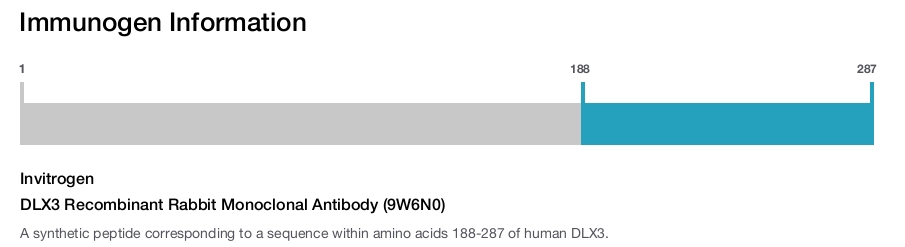 DLX3 Recombinant Rabbit Monoclonal Antibody (9W6N0)