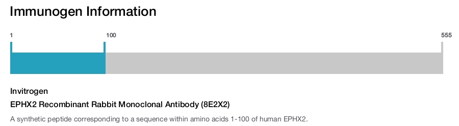 EPHX2 Recombinant Rabbit Monoclonal Antibody (8E2X2)