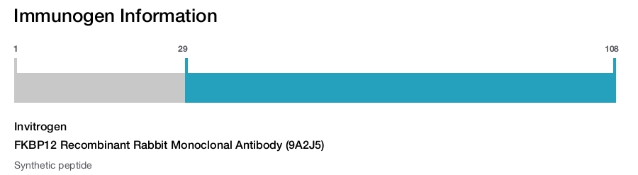 FKBP12 Recombinant Rabbit Monoclonal Antibody (9A2J5)