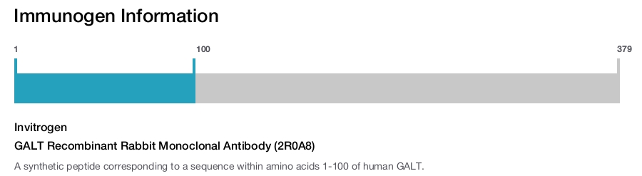 GALT Recombinant Rabbit Monoclonal Antibody (2R0A8)