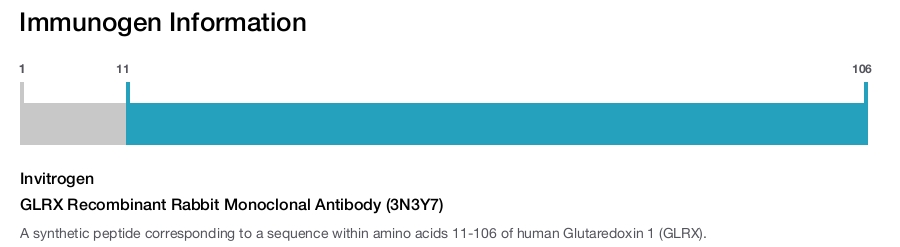 GLRX Recombinant Rabbit Monoclonal Antibody (3N3Y7)