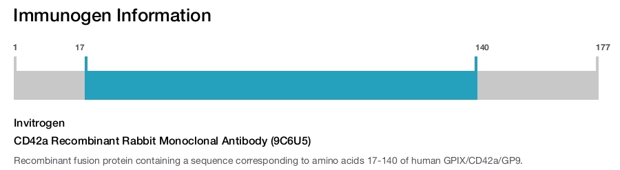 CD42a Recombinant Rabbit Monoclonal Antibody (9C6U5)