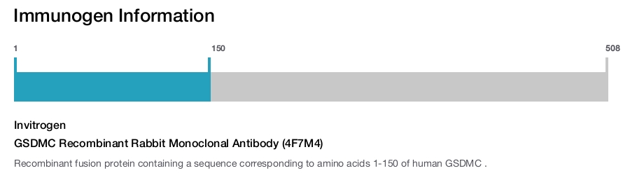 GSDMC Recombinant Rabbit Monoclonal Antibody (4F7M4)