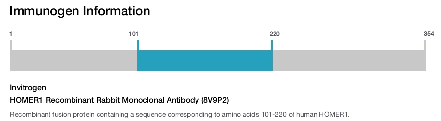 HOMER1 Recombinant Rabbit Monoclonal Antibody (8V9P2)