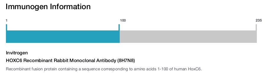 HOXC6 Recombinant Rabbit Monoclonal Antibody (8H7N8)
