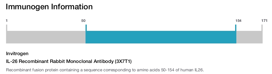 IL-26 Recombinant Rabbit Monoclonal Antibody (3X7T1)