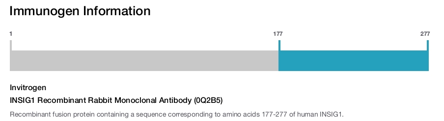 INSIG1 Recombinant Rabbit Monoclonal Antibody (0Q2B5)
