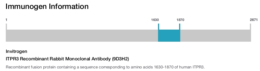 ITPR3 Recombinant Rabbit Monoclonal Antibody (9D3H2)