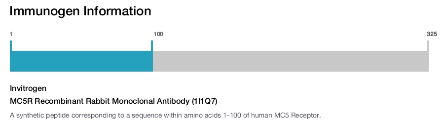 MC5R Recombinant Rabbit Monoclonal Antibody (1I1Q7)