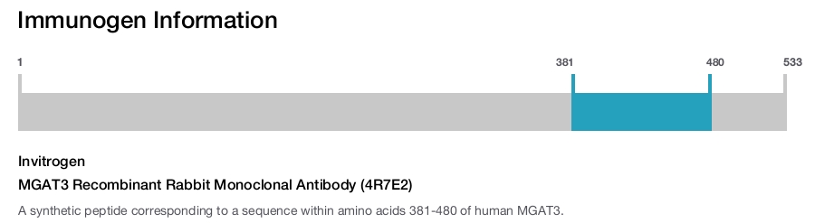 MGAT3 Recombinant Rabbit Monoclonal Antibody (4R7E2)