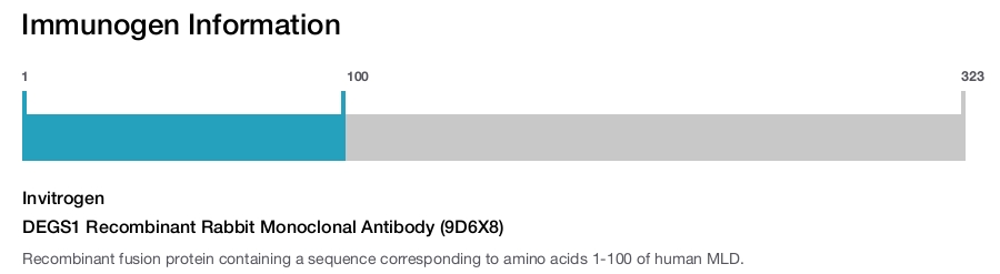 DEGS1 Recombinant Rabbit Monoclonal Antibody (9D6X8)
