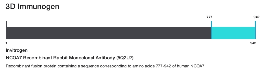 NCOA7 Recombinant Rabbit Monoclonal Antibody (5Q2U7)