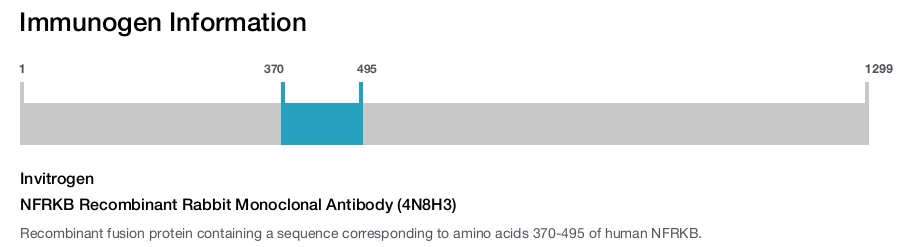 NFRKB Recombinant Rabbit Monoclonal Antibody (4N8H3)