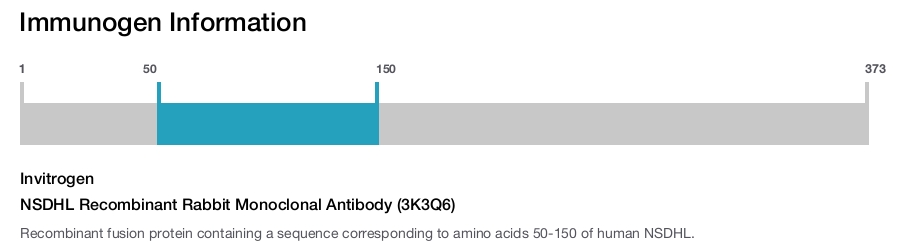 NSDHL Recombinant Rabbit Monoclonal Antibody (3K3Q6)