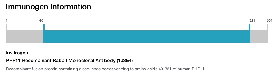 PHF11 Recombinant Rabbit Monoclonal Antibody (1J3E4)