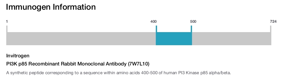 PI3K p85 Recombinant Rabbit Monoclonal Antibody (7W7L10)