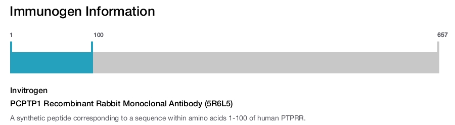 PCPTP1 Recombinant Rabbit Monoclonal Antibody (5R6L5)